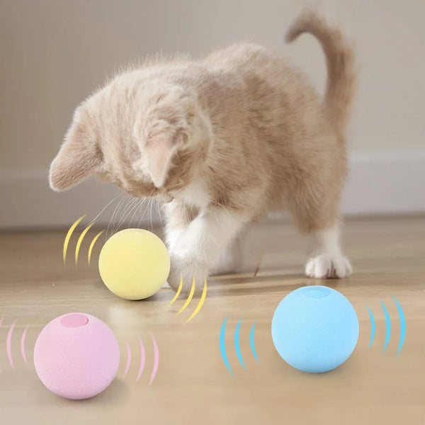 Cat Interactive Pet Squeaky Toys